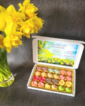 Spring collection 24 highly scented wax melt selection box